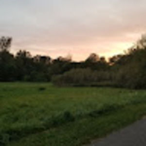 Meet your Posher, Katelyn